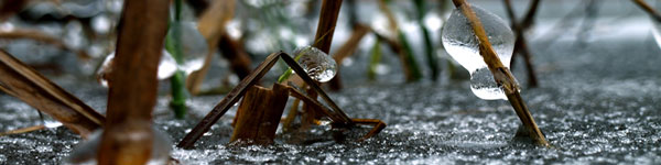 psichologine pagalba