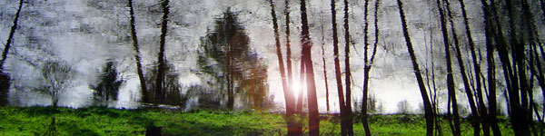 Psichologin pagalba